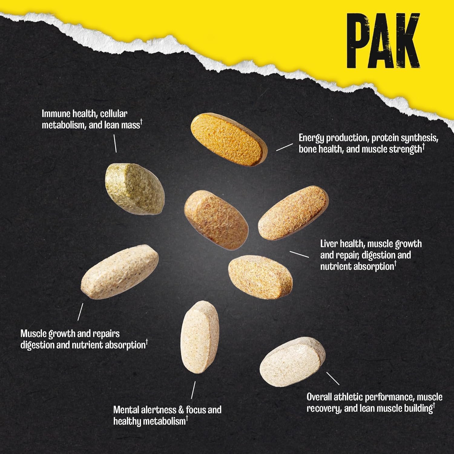 ANIMAL Pak – UNIVERSAL – image 5 | Supplementro